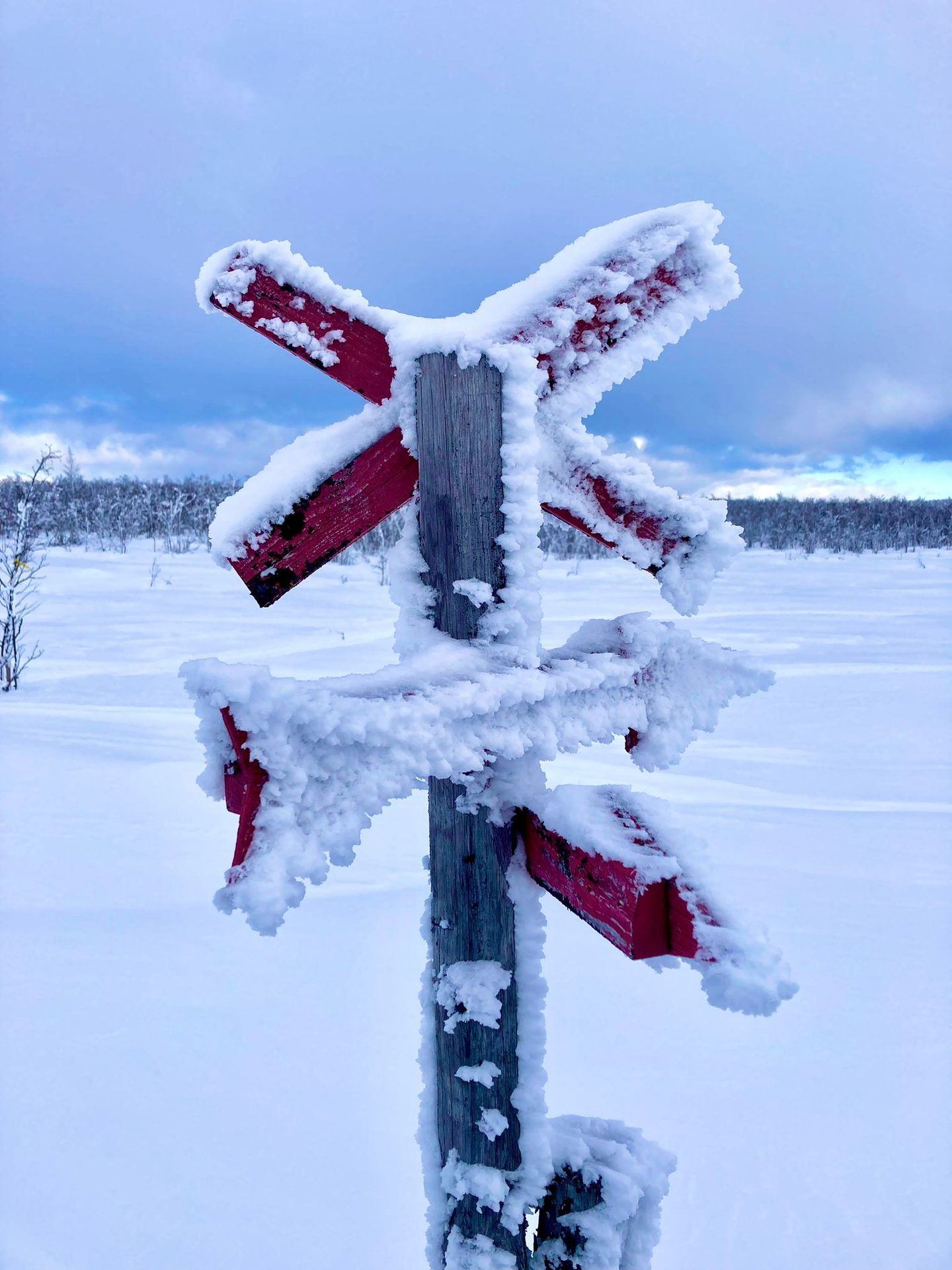 Vereister Wegweiser in der Lappland-Wildnis
